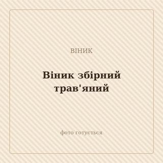Віник збірний трав'яний