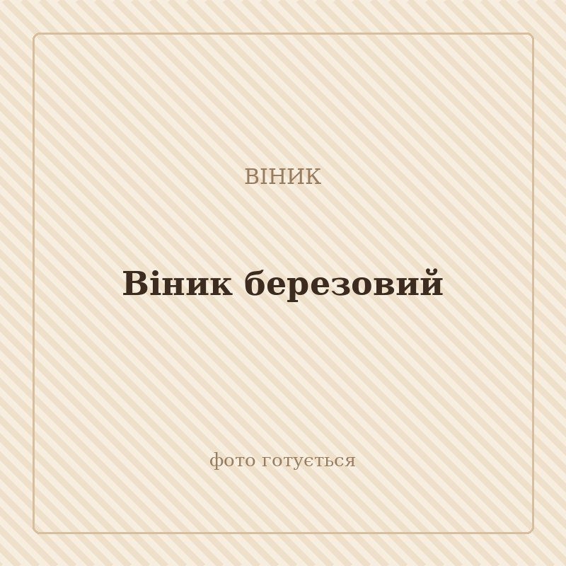 Віник березовий