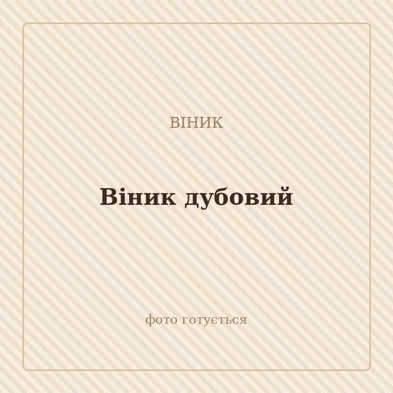 Віник дубовий