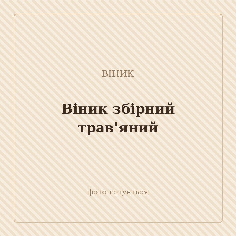 Віник збірний трав'яний